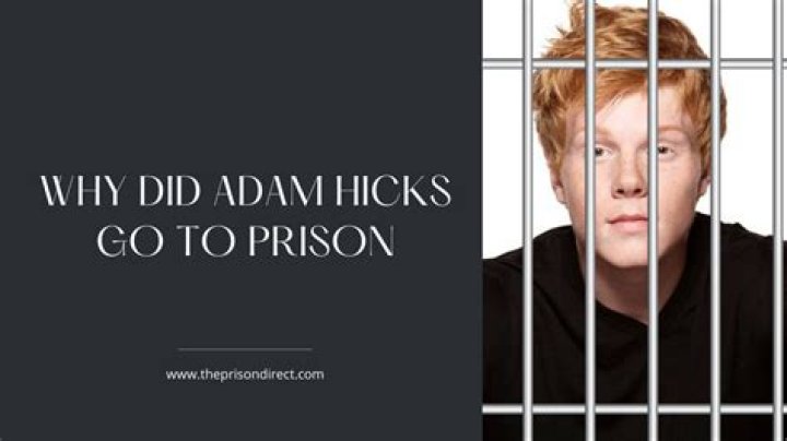 Adam Hicks In Prison: Why Did Adam Hicks Go To Jail? What Did Adam Hick Go To Jail For? Who Is Adam Hicks Girlfriend?