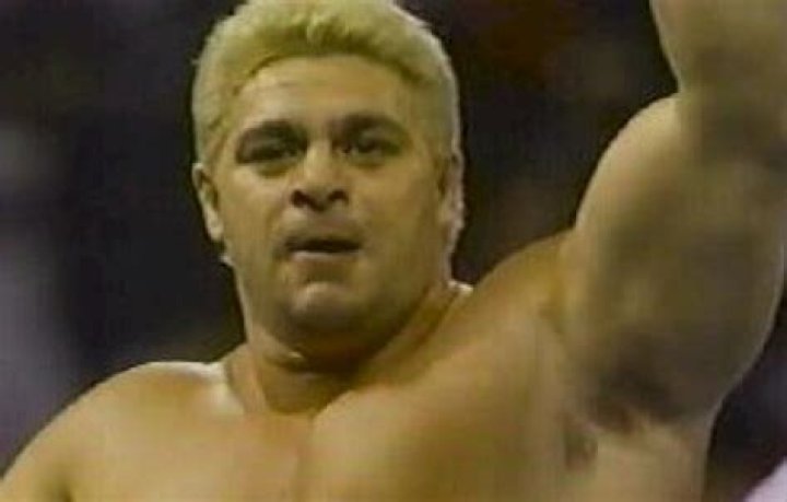Career, biography and origin of dino bravo