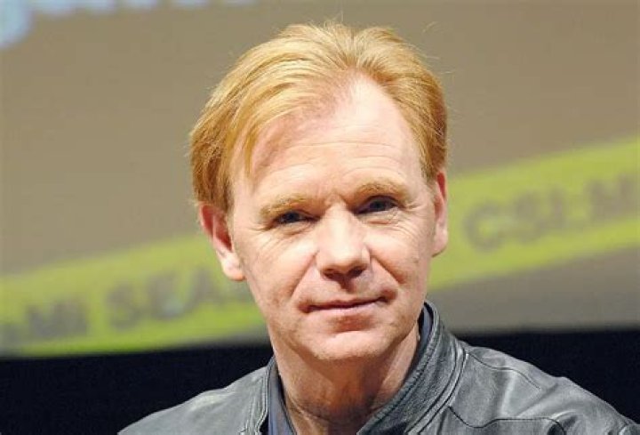 David Caruso Net Worth | Celebrity Net Worth