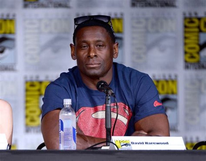 David Harewood Net Worth | Celebrity Net Worth