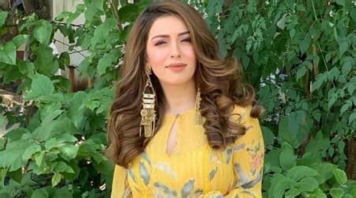 Hansika Motwani Height, Weight, Age, Boyfriend, Family, Facts, Biography