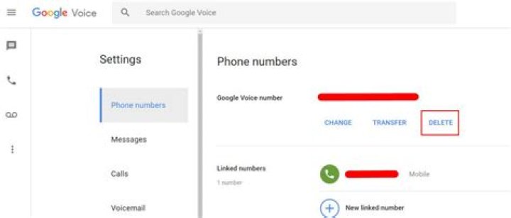 How do I delete Google Voice number from my Iphone?