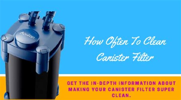 how often to clean canister filter?