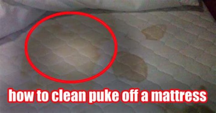 how to clean puke off a mattress?
