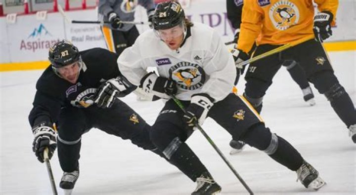 Pittsburgh Penguins Ice Hockey Defenceman Ty Smith Salary, Net Worth, Contract, Stats, Parents, Family, Siblings, Instagram, Bio, Wiki, Height
