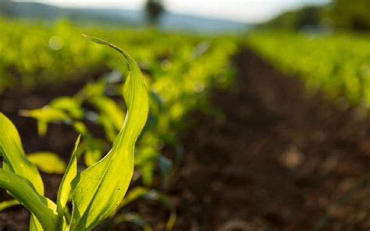 Vous ne devinerez jamais quel ministre de l’Agriculture a été acteur dans une série télévisée ! Découvrez-le ici !