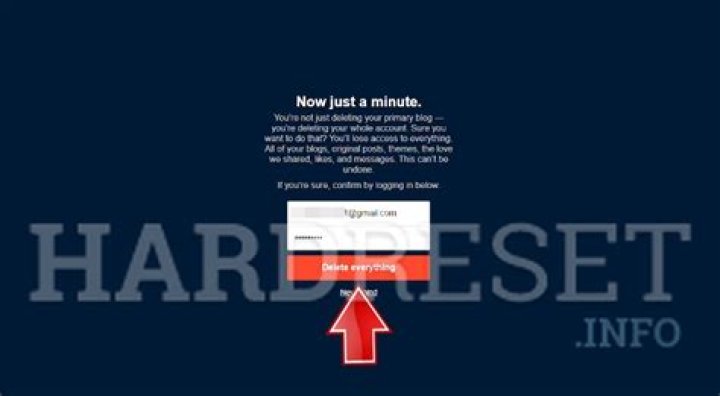 What happens when you delete Tumblr account?